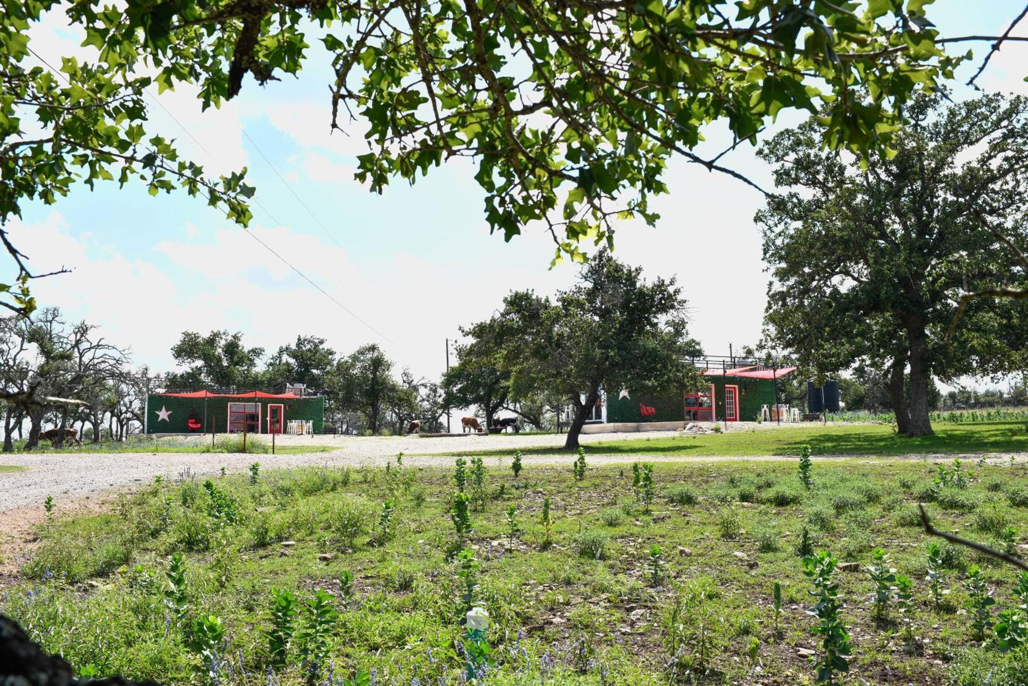 Little Unit2 Fredericksburg